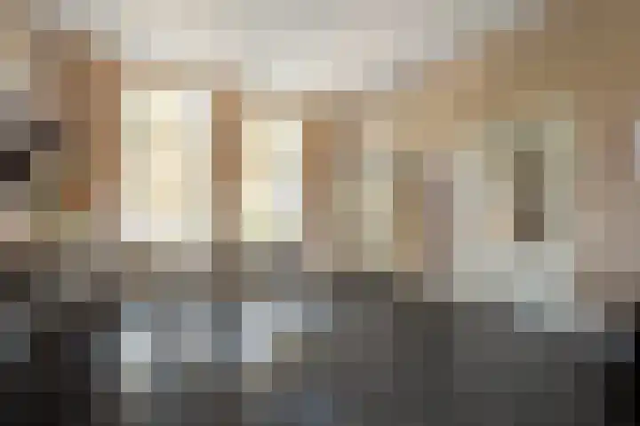 Boslaan 17 Balkbrug thumbnail 14