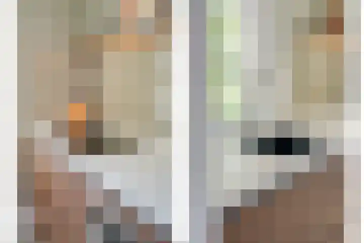 Boslaan 17 Balkbrug thumbnail 18