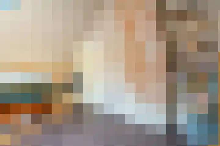 Boslaan 17 Balkbrug thumbnail 26