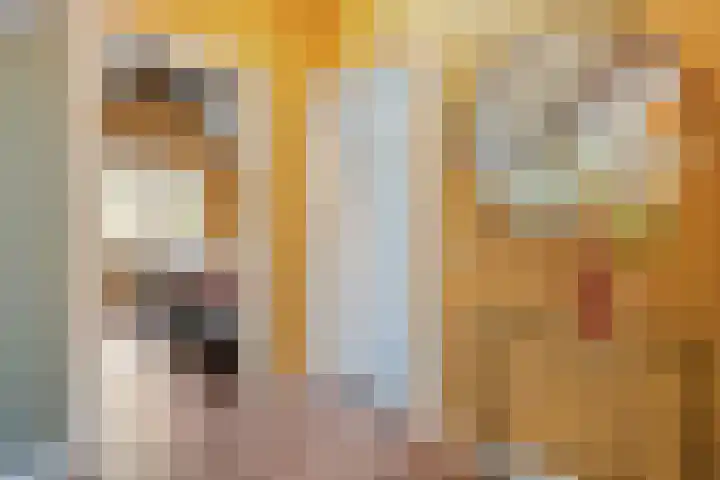 Boslaan 17 Balkbrug thumbnail 28