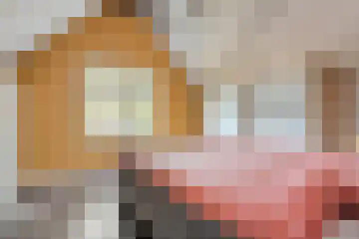 Boslaan 17 Balkbrug thumbnail 29