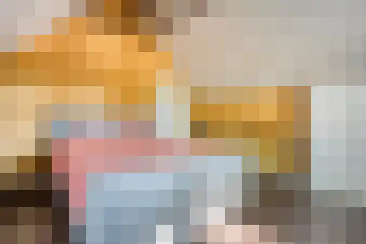 Boslaan 17 Balkbrug thumbnail 30