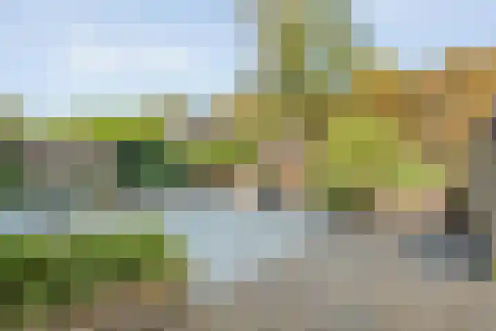Boslaan 17 Balkbrug thumbnail 33