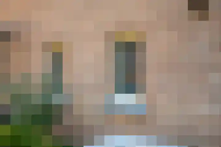 Boslaan 17 Balkbrug thumbnail 36