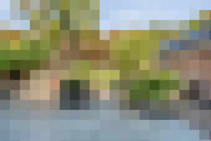 Boslaan 17 Balkbrug thumbnail 37