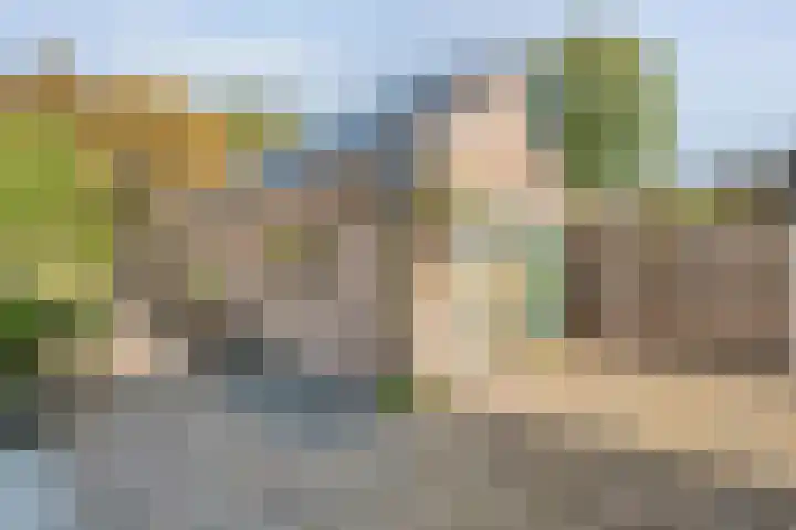 Boslaan 17 Balkbrug thumbnail 38