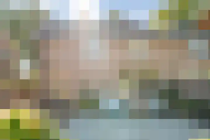 Boslaan 17 Balkbrug thumbnail 39