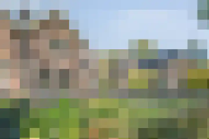 Boslaan 17 Balkbrug thumbnail 4