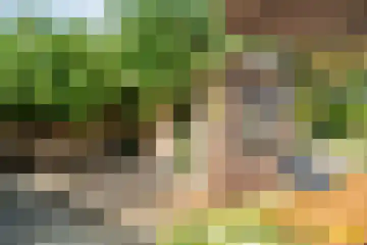 Boslaan 17 Balkbrug thumbnail 40