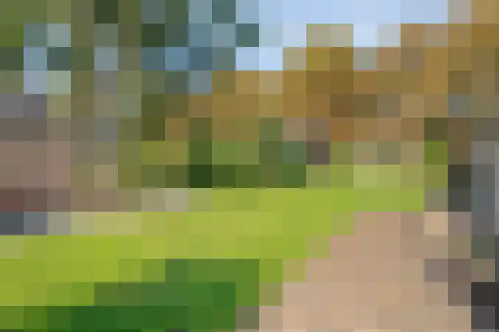 Boslaan 17 Balkbrug thumbnail 42