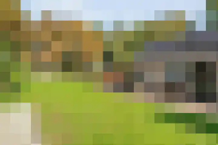 Boslaan 17 Balkbrug thumbnail 43