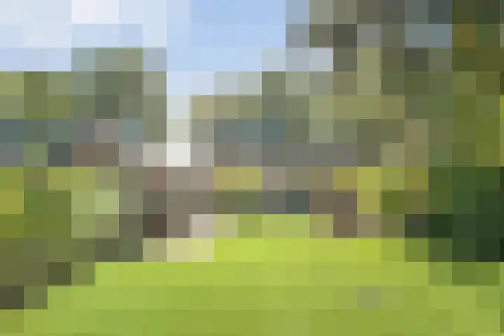 Boslaan 17 Balkbrug thumbnail 44