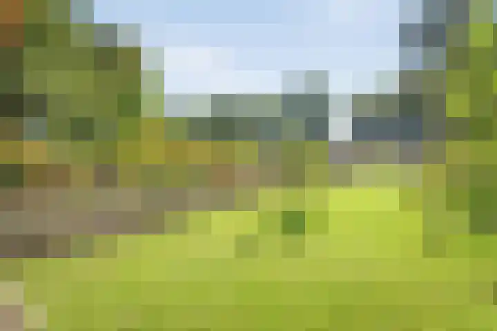 Boslaan 17 Balkbrug thumbnail 45