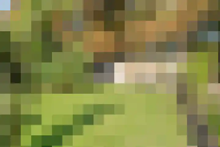 Boslaan 17 Balkbrug thumbnail 46