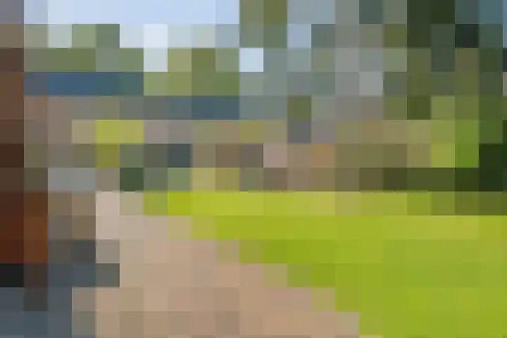 Boslaan 17 Balkbrug thumbnail 47