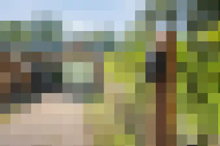 Boslaan 17 Balkbrug thumbnail 48