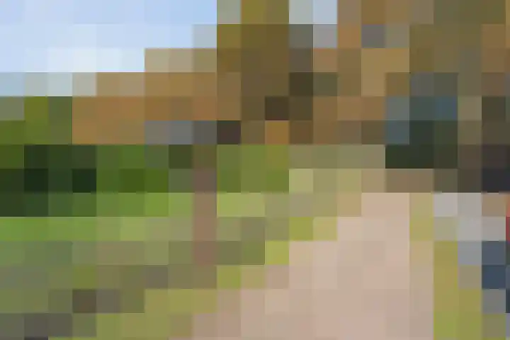 Boslaan 17 Balkbrug thumbnail 49