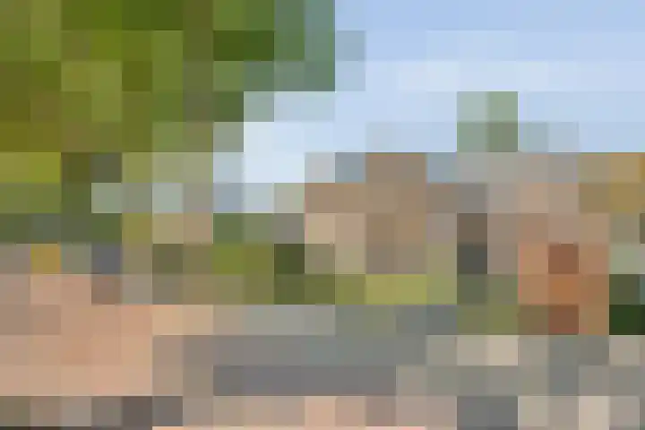 Boslaan 17 Balkbrug thumbnail 5