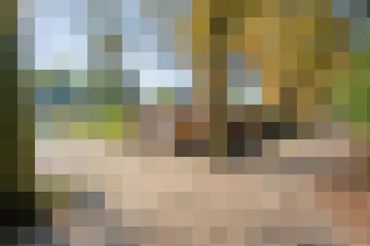 Boslaan 17 Balkbrug thumbnail 50