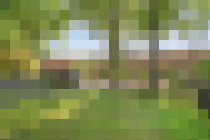 Boslaan 17 Balkbrug thumbnail 52