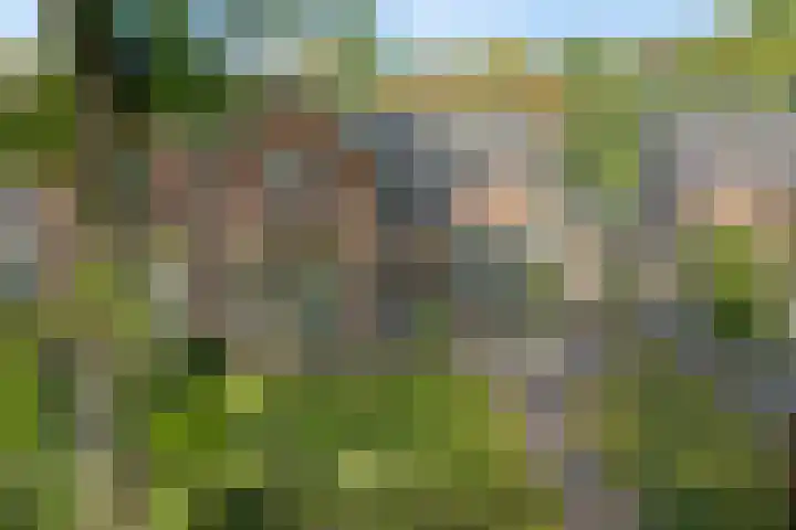 Boslaan 17 Balkbrug thumbnail 53