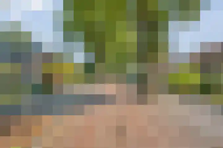 Boslaan 17 Balkbrug thumbnail 54