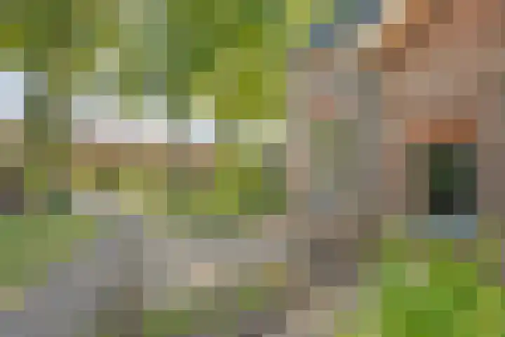 Boslaan 17 Balkbrug thumbnail 6