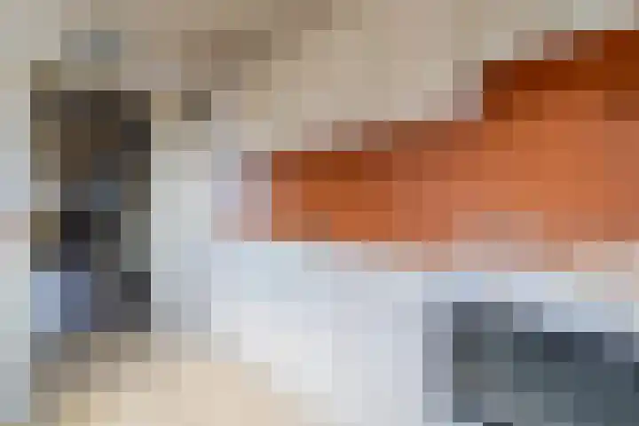 Boslaan 17 Veenendaal thumbnail 10