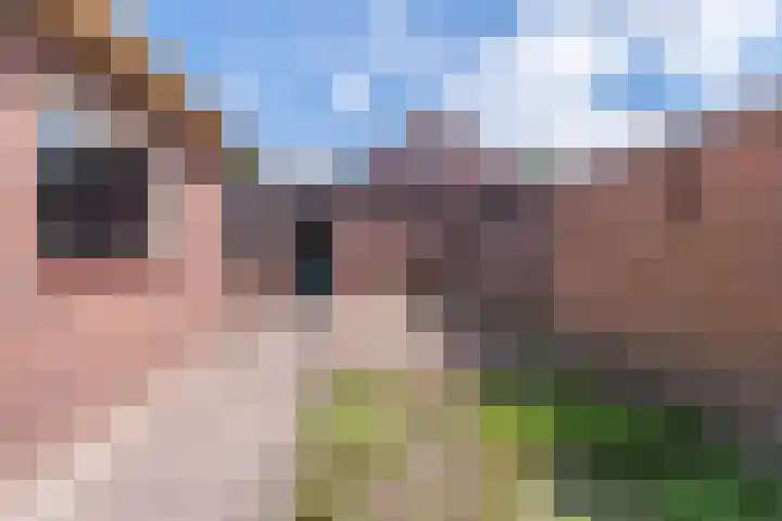 Boslaan 17 Veenendaal thumbnail 23