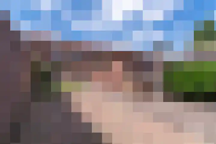 Boslaan 17 Veenendaal thumbnail 25