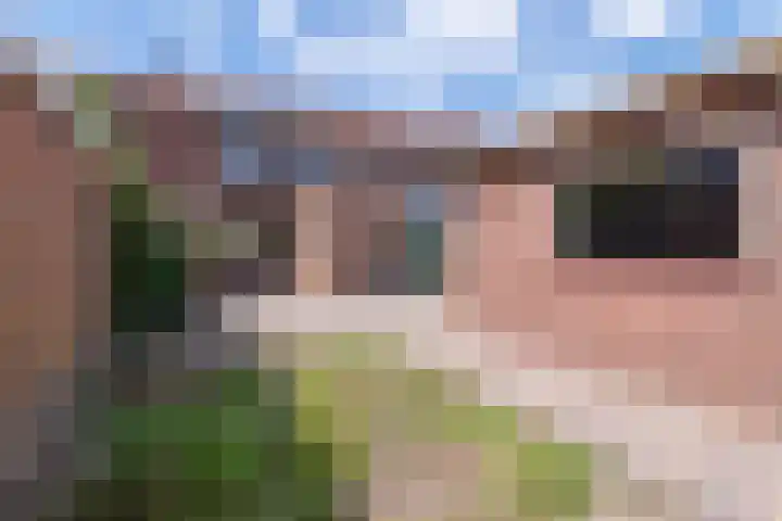 Boslaan 17 Veenendaal thumbnail 26
