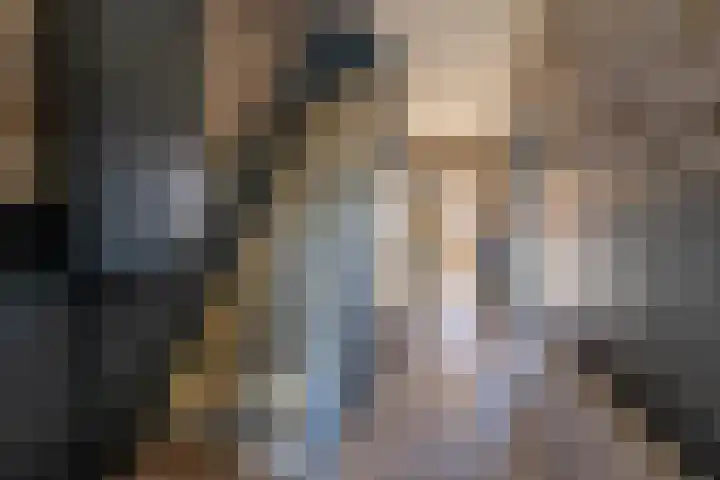Boslaan 17 Veenendaal thumbnail 5