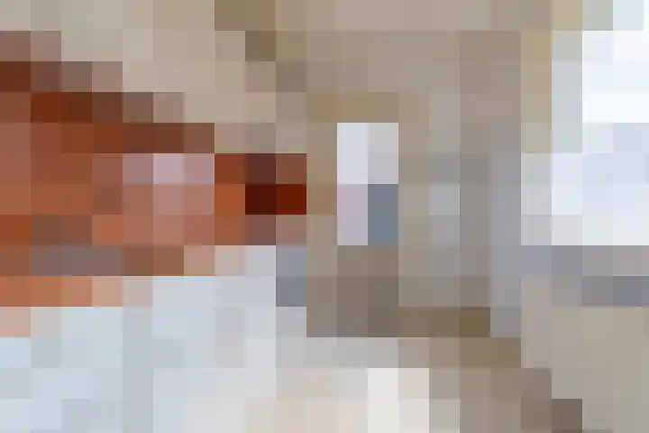 Boslaan 17 Veenendaal thumbnail 9
