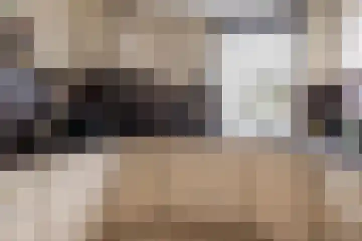 Boslaan 18 Dronten thumbnail 33