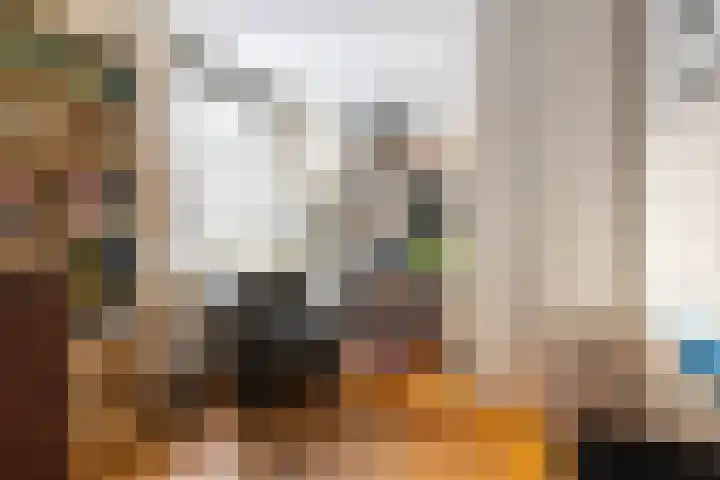 Boslaan 18 Dronten thumbnail 34
