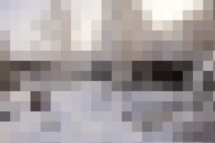Boslaan 18 Dronten thumbnail 39