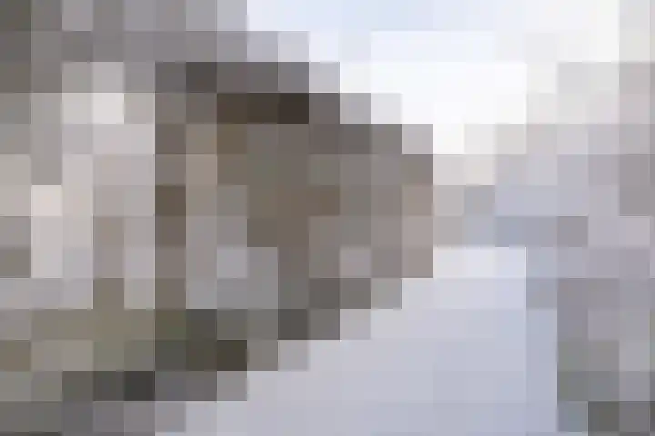Boslaan 18 Dronten thumbnail 5