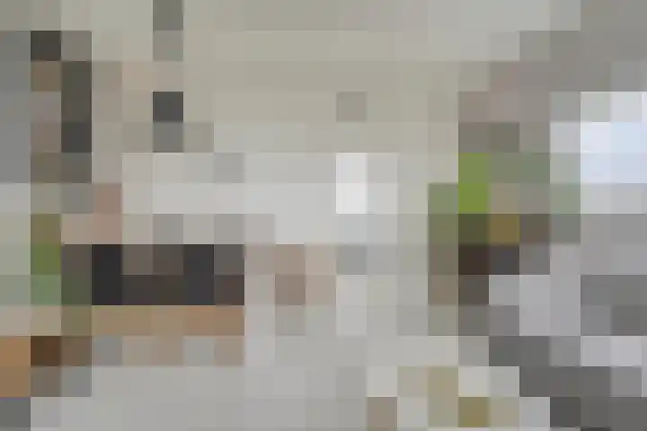 Boslaan 18 Katwijk thumbnail 11