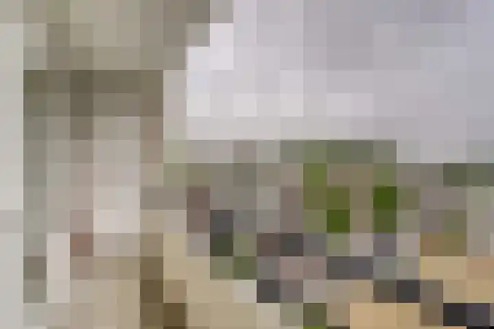 Boslaan 18 Katwijk thumbnail 23