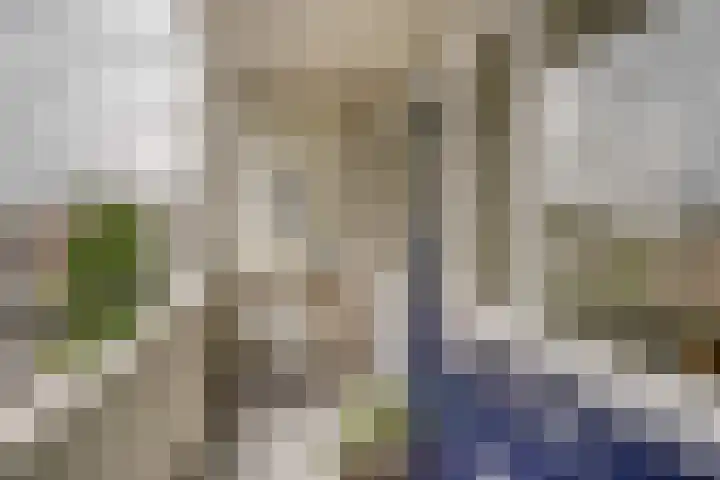 Boslaan 18 Katwijk thumbnail 5