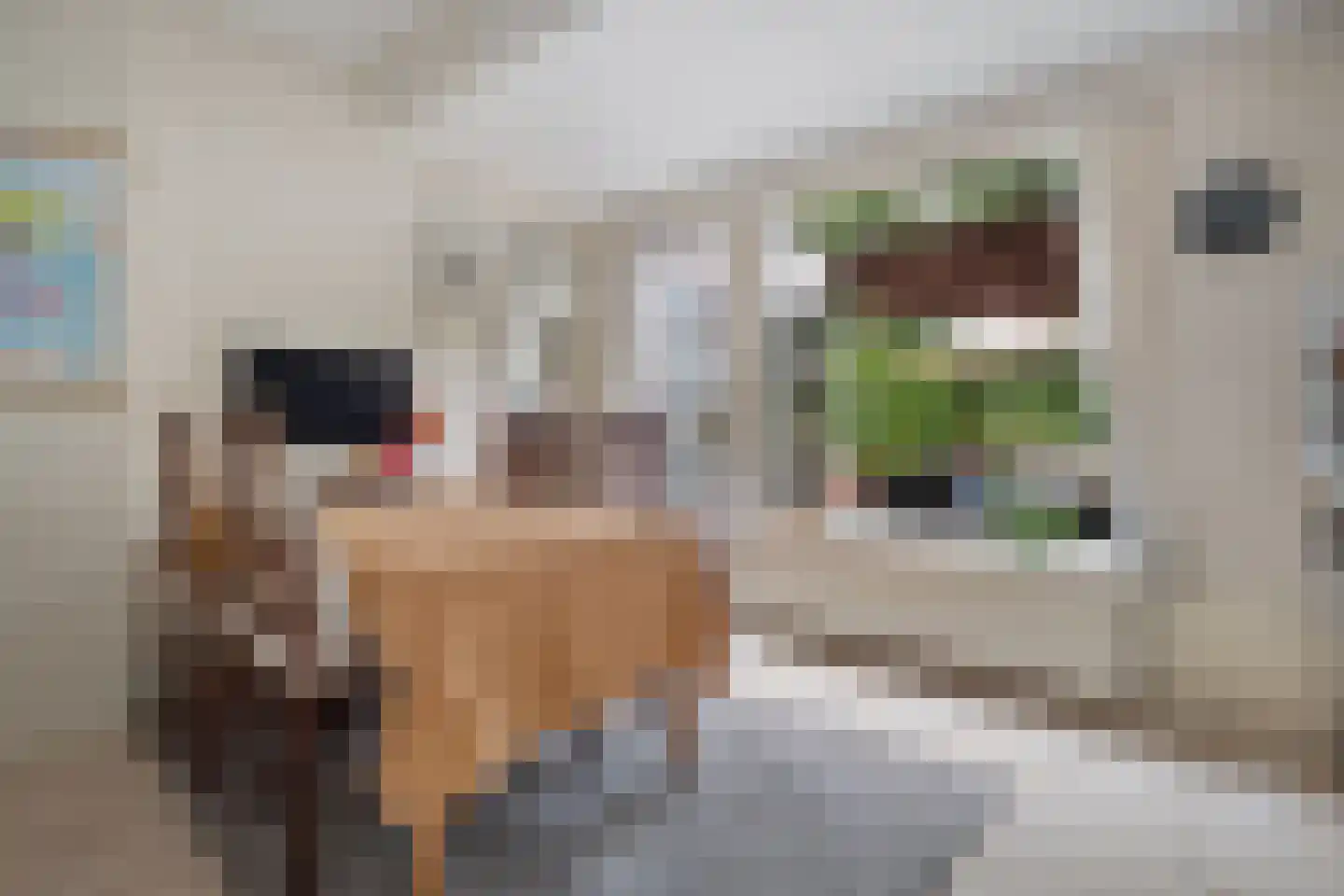 Boslaan 18 Vught thumbnail 13