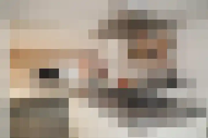 Boslaan 19 Druten thumbnail 13