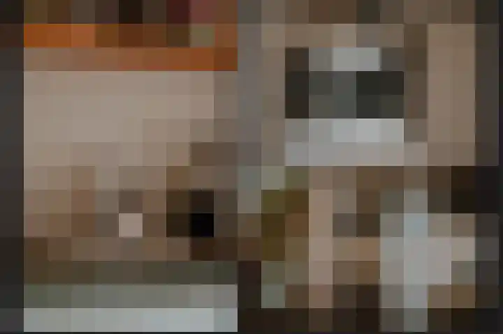 Boslaan 19 Druten thumbnail 15