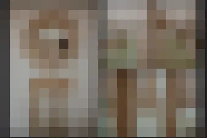 Boslaan 19 Druten thumbnail 26