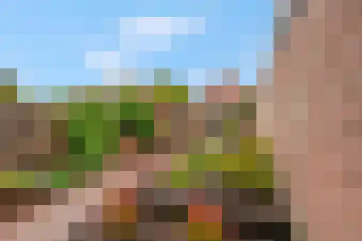 Boslaan 19 Veenendaal thumbnail 23