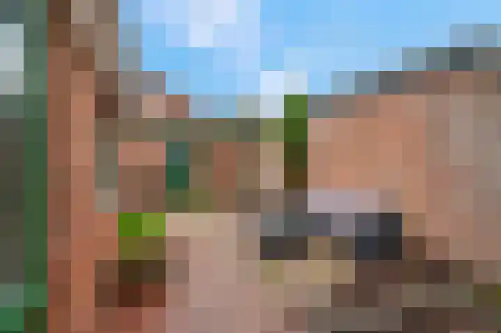 Boslaan 19 Veenendaal thumbnail 24