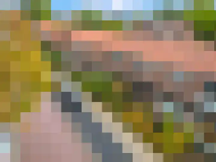 Boslaan 19 Veenendaal thumbnail 30