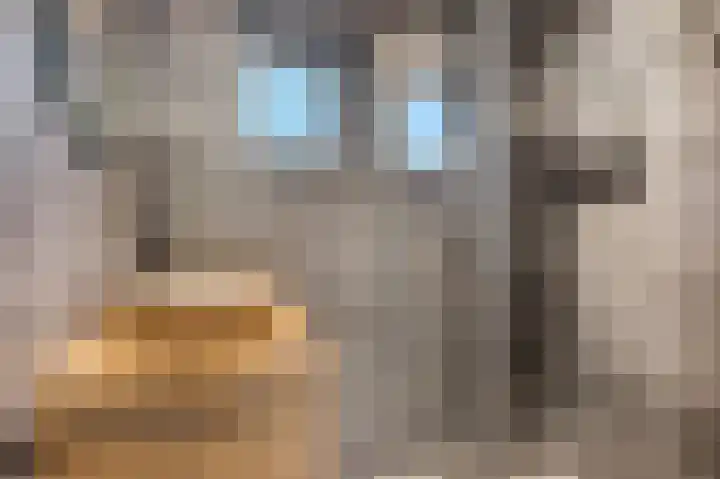 Boslaan 19 Veenendaal thumbnail 4
