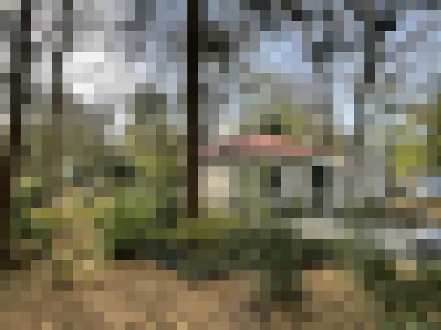 Boslaan 2 14 Harderwijk thumbnail 17