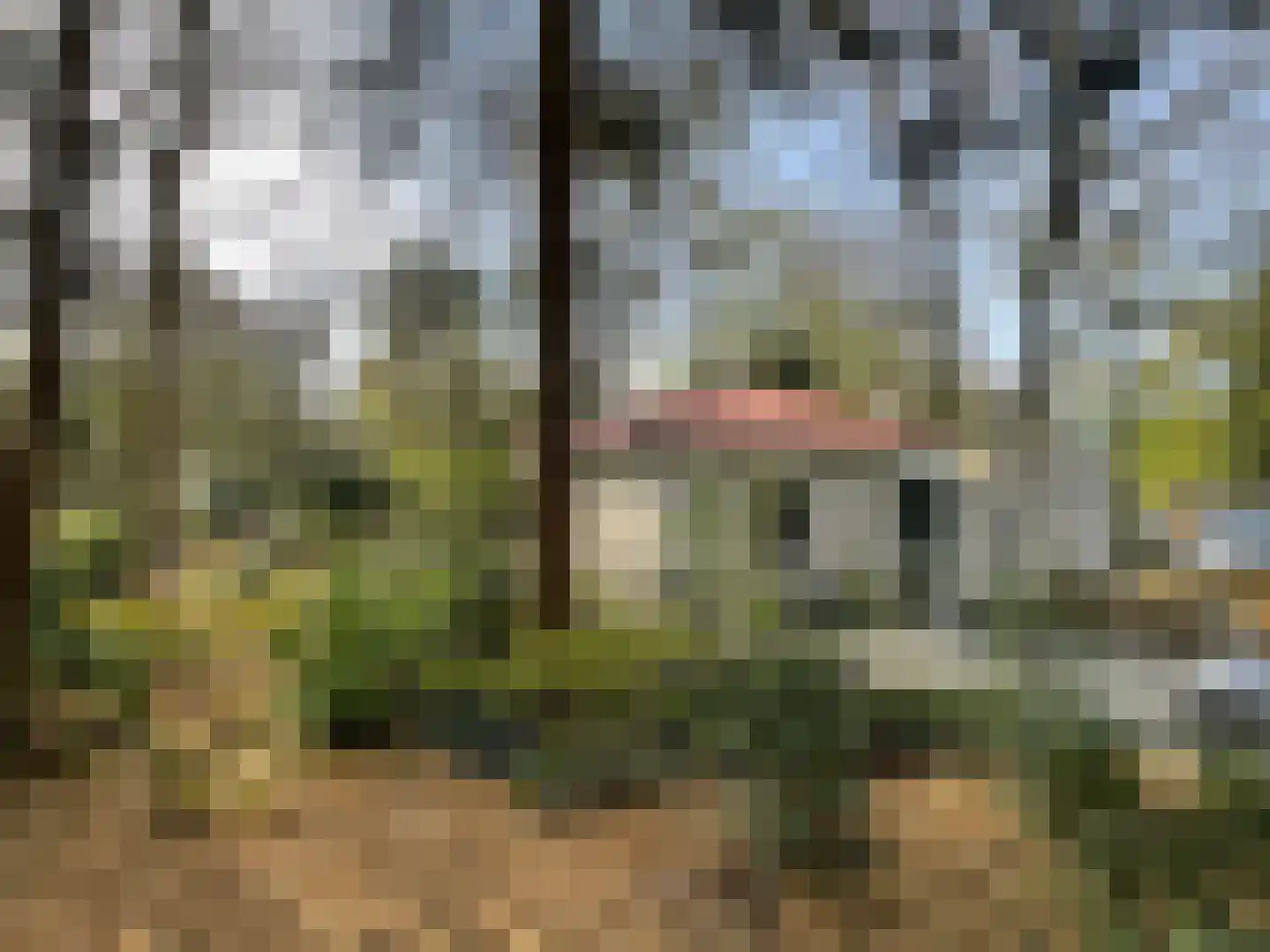Boslaan 2 14 Harderwijk thumbnail 17